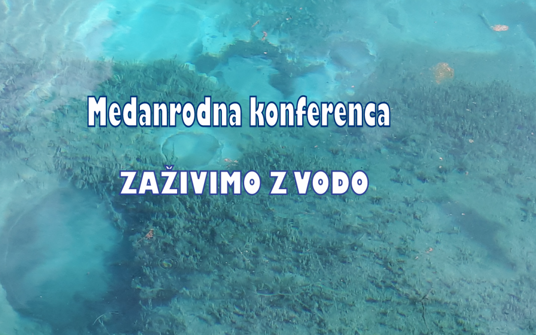 Mednarodna konferenca
