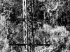 10-2-Prepusceno-naravi-v-propad