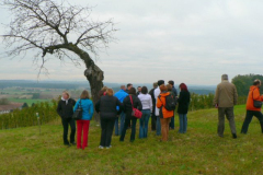 2009  Tabor - Prlekija